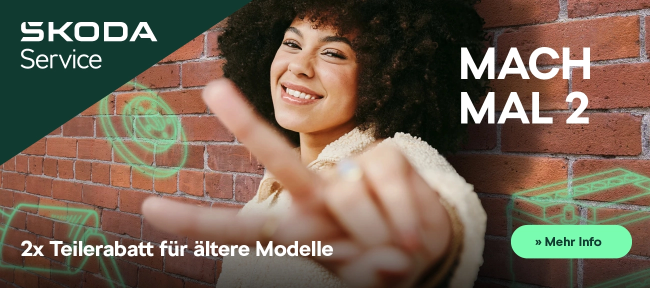 Tielerabatt x2 Skoda