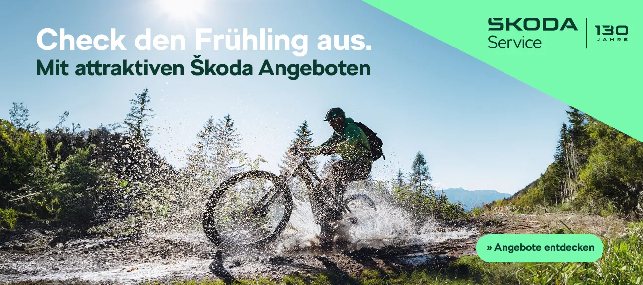 Slider Skoda Frühjahrs-Service Angebote