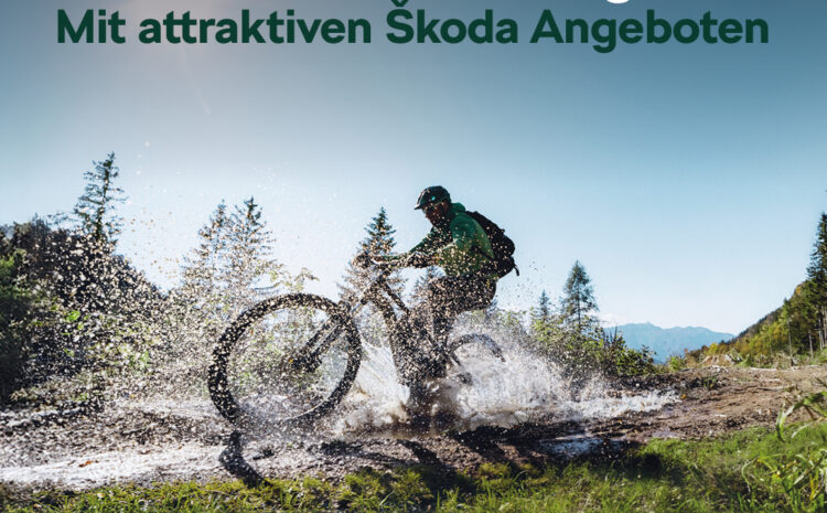  Škoda Frühlings-Service Angebote