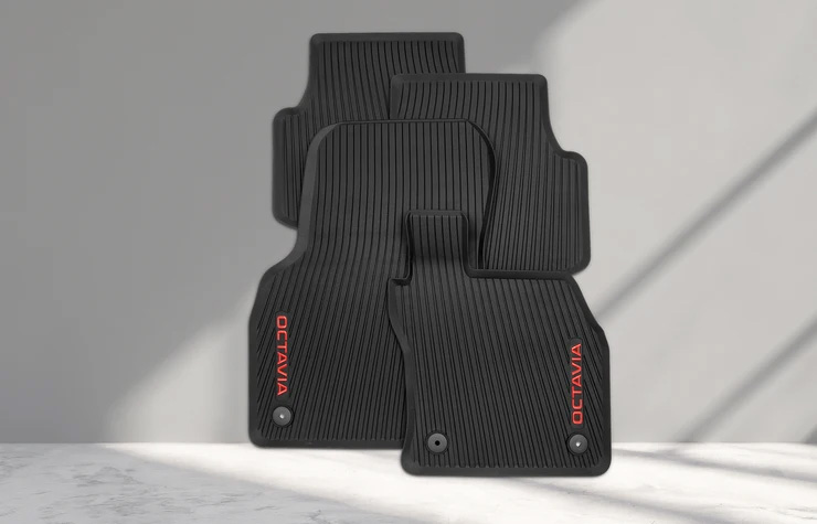 7-Allwetterfussmatten