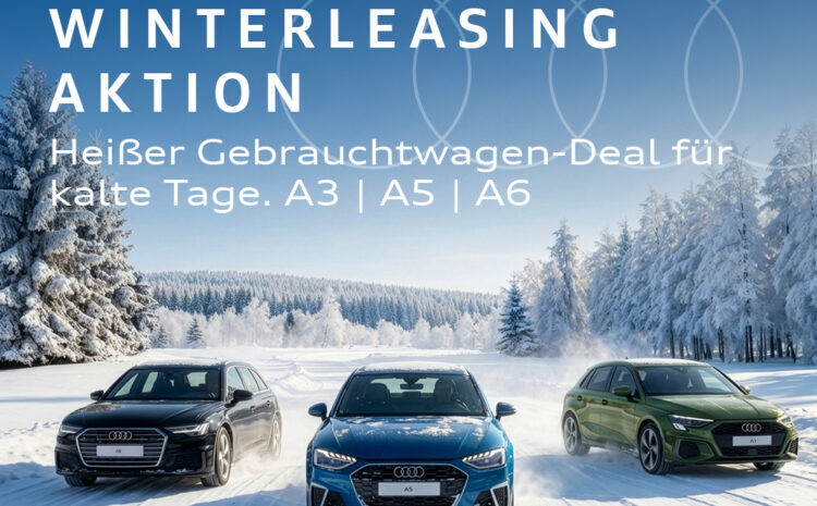  Audi GW+ Winterleasing